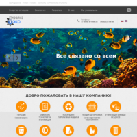 Разработка сайта http://pirolizeco.ru/