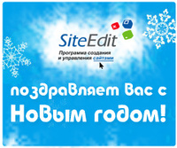 С Новым 2013 годом!