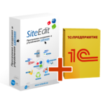 SiteEdit Business (лицензия в 1-й год)